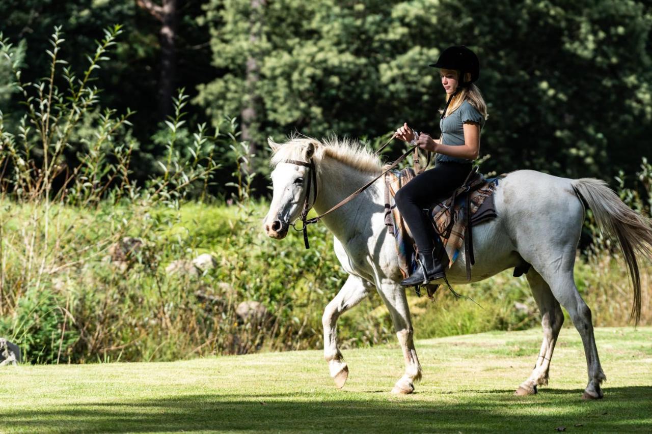 Gooderson Leisure Riverbend Chalets Self Catering And Timeshare Gold Crown Resort ドラケンスバーグ・ガーデン エクステリア 写真